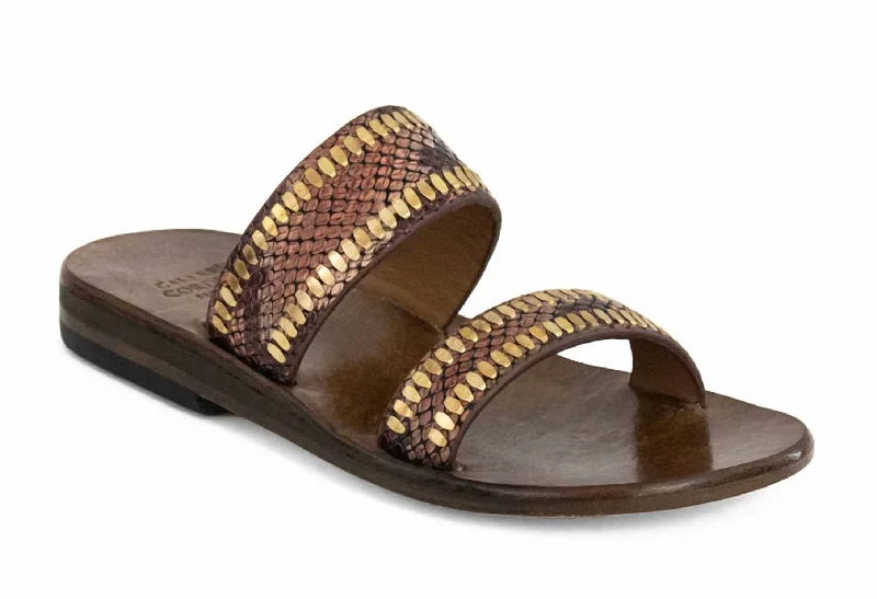 Women's Strappy Gladiator Sandals with Buckle Closures in Tan for a Boho LookWomen's Strappy Gladiator Sandals with Buckle Closures in Tan for a Boho LookWomen's Adella Sandals In Copper Multi Snake/brass Women's Strappy Gladiator Sandals with Buckle Closures in Tan for a Boho LookWomen's Strappy Gladiator Sandals with Buckle Closures in Tan for a Boho LookWomen's Adella Sandals In Copper Multi Snake/brass